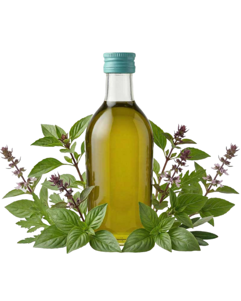 NEW - Thai Basil Extra Virgin Olive Oil